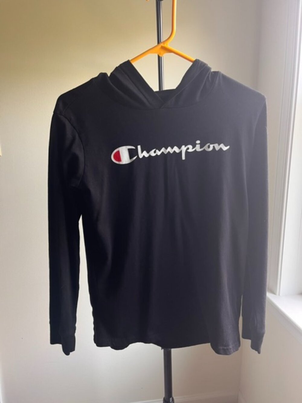 Youth Champion long sleeve hoodie tshirt